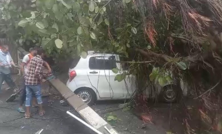 Tree and Electric Pole Collapse in Patel Nagar Amidst Heavy Rains: One Injured, Property Damaged 1 111 26